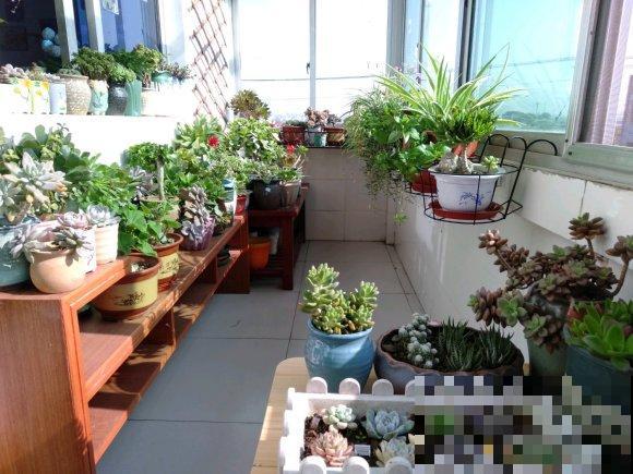 养花也要有度,阳台别摆太多花,小心压塌了! 养花也要有度,阳台别摆太多花,小心压塌了!