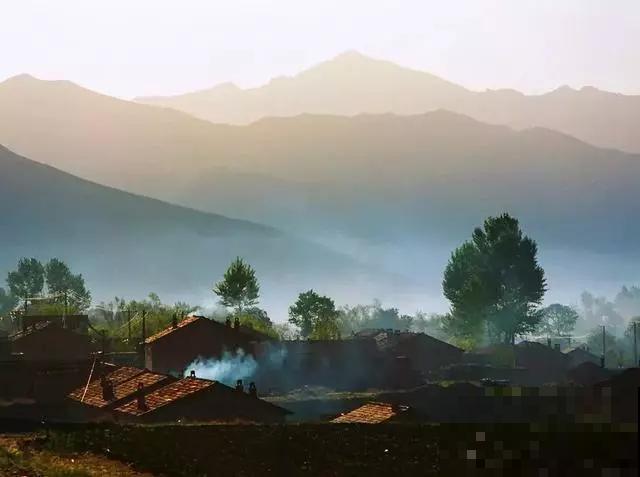 养花人都有个田园梦:一处小院,繁花盛开! 养花人都有个田园梦:一处小院,繁花盛开!