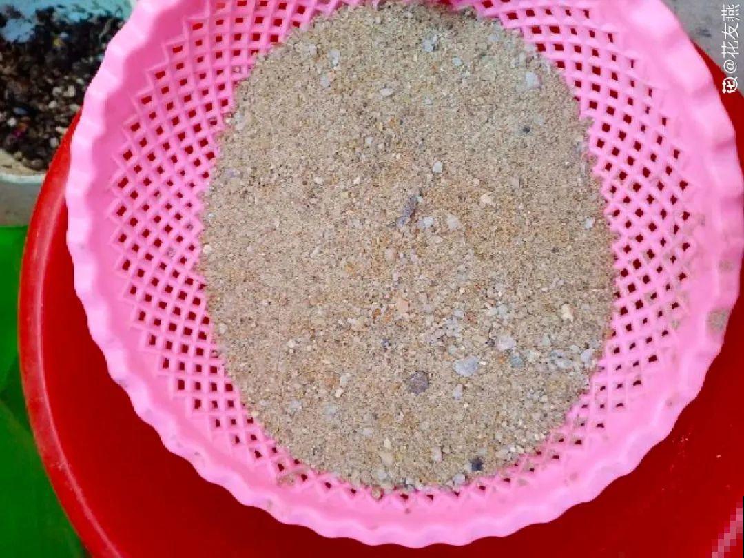 土里埋点“小料”，今年不用换盆，照样开花爆盆！