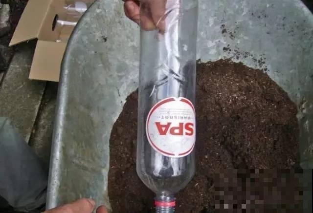 旧筷子、老干妈瓶，都是养花宝贝，做盆浇水都能用！