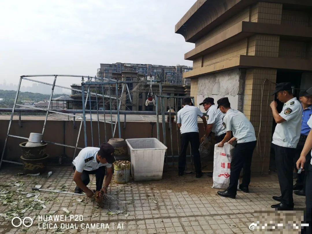 重庆一家企业,楼顶用来种菜养花,佩服! 重庆一家企业,楼顶用来种菜养花,佩服!