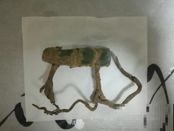 8种花换盆,换好了生一堆,换错立马死! 8种花换盆,换好了生一堆,换错立马死!