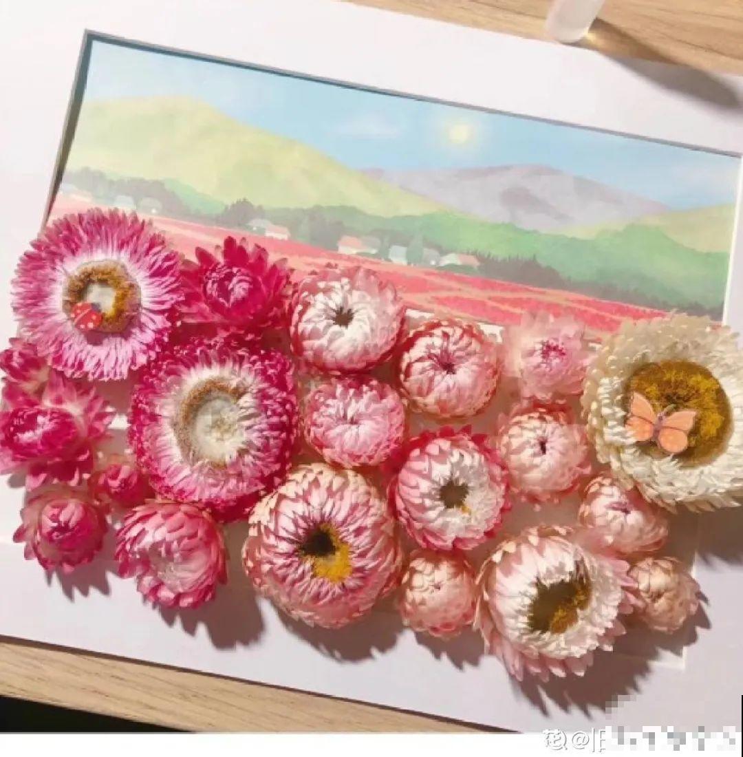 把花剪下来，倒挂几天风干，就能变成永生花！