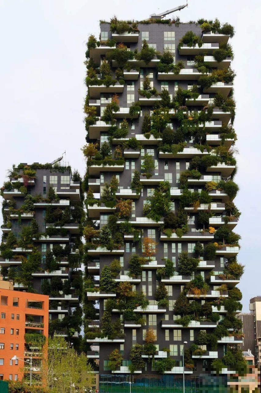 小区楼房被绿植全包围,像个森林一样,你想住进去吗? 小区楼房被绿植全包围,像个森林一样,你想住进去吗?