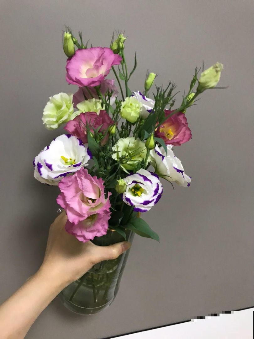 养花不走寻常路,这5种绿色花卉,养在家里特清新! 养花不走寻常路,这5种绿色花卉,养在家里特清新!