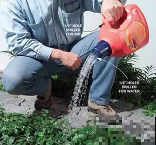 旧筷子、老干妈瓶，都是养花宝贝，做盆浇水都能用！