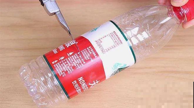 扦插有啥难？1根吸管，插活6盆花，太简单了！