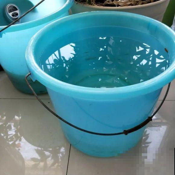 4种养花夺命水，秋天不要浇，一浇花就死！