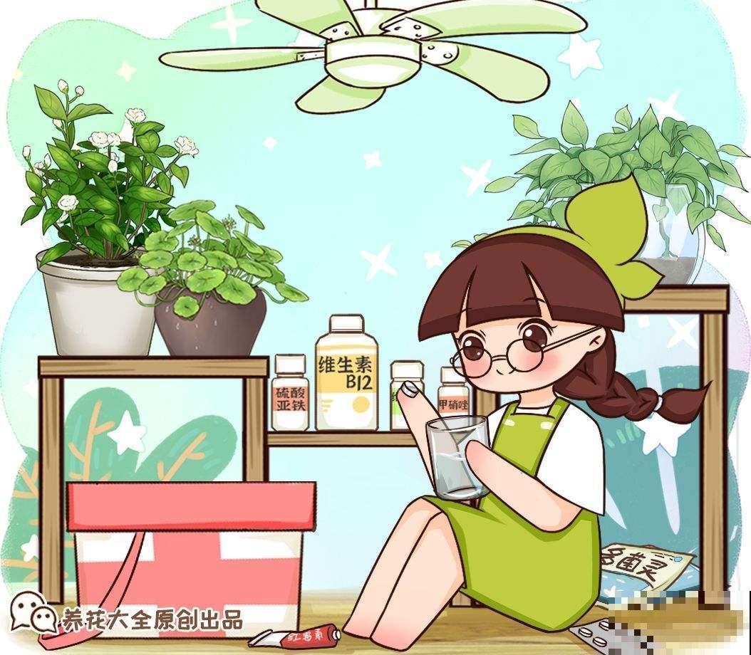 营养液还去花市买？别买了，教你2分钟制作，简单还省钱！