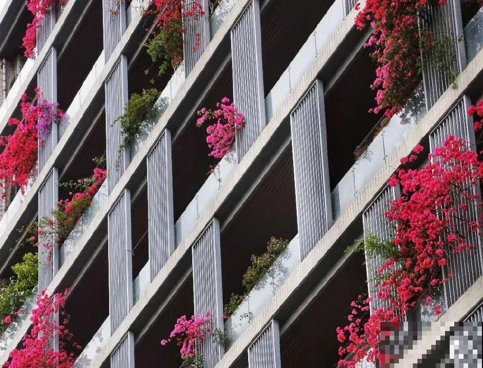 小区楼房被绿植全包围,像个森林一样,你想住进去吗? 小区楼房被绿植全包围,像个森林一样,你想住进去吗?