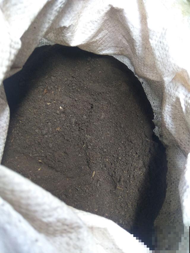 什么才是好的园土,养了这么久的花,现在才分清 什么才是好的园土,养了这么久的花,现在才分清