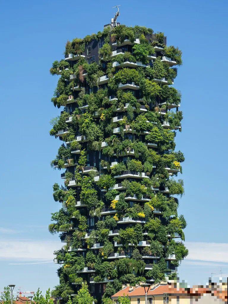 小区楼房被绿植全包围,像个森林一样,你想住进去吗? 小区楼房被绿植全包围,像个森林一样,你想住进去吗?