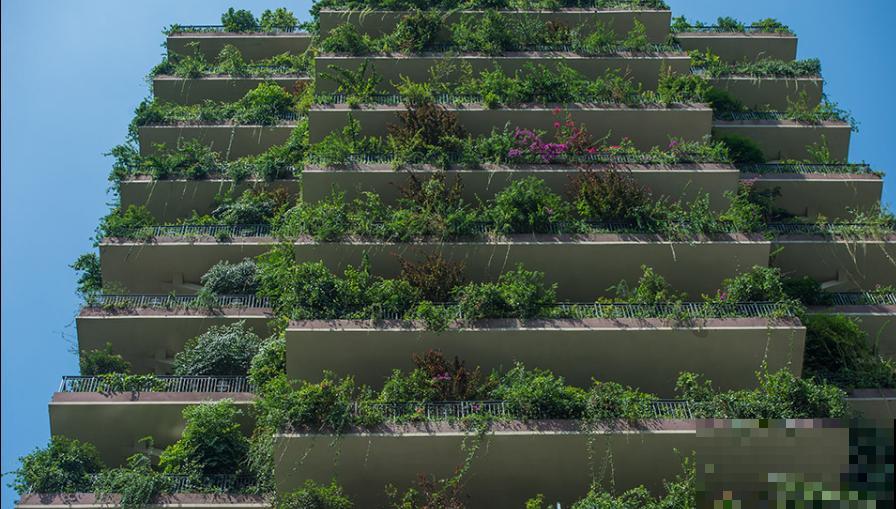 被绿植包围的森林小区,家家阳台满是植物,这样的小区你想住吗? 被绿植包围的森林小区,家家阳台满是植物,这样的小区你想住吗?