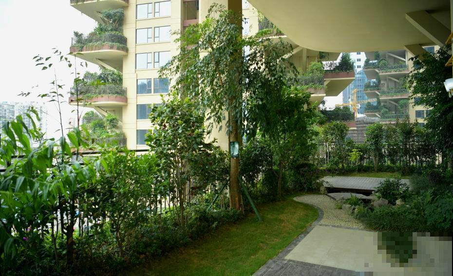 被绿植包围的森林小区,家家阳台满是植物,这样的小区你想住吗? 被绿植包围的森林小区,家家阳台满是植物,这样的小区你想住吗?