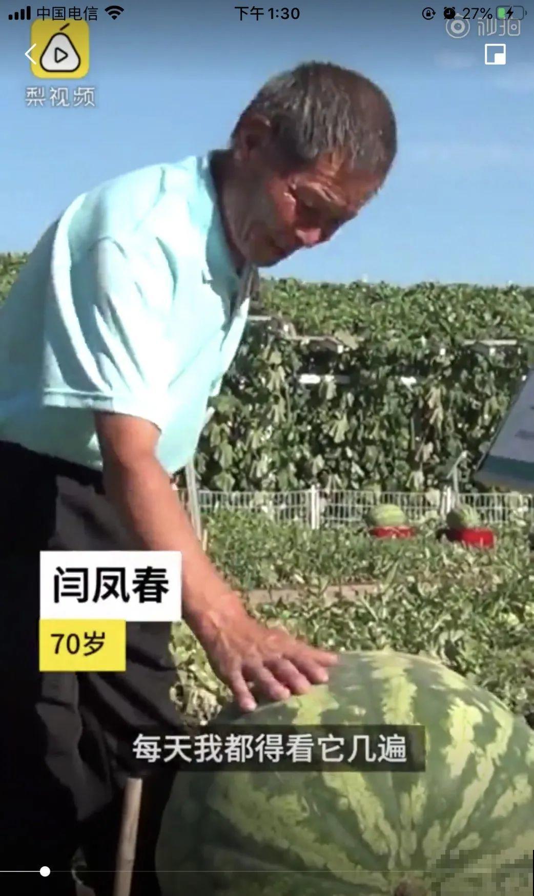 农村大姐，种出1.5米大冬瓜，我看谁还敢说矮！