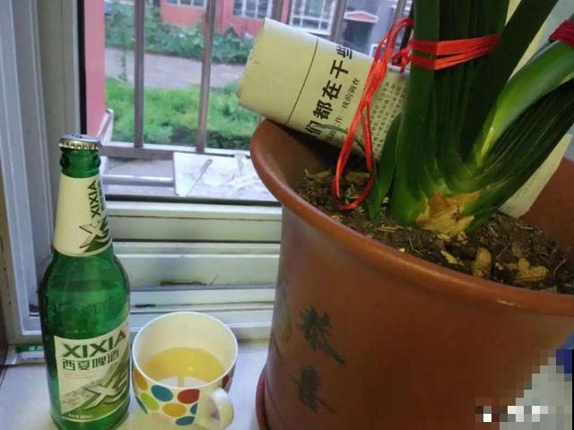 4种养花夺命水，秋天不要浇，一浇花就死！