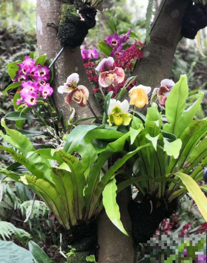 还敢说你的花园有创意?看看这些脑洞设计,一般人做不来! 还敢说你的花园有创意?看看这些脑洞设计,一般人做不来!