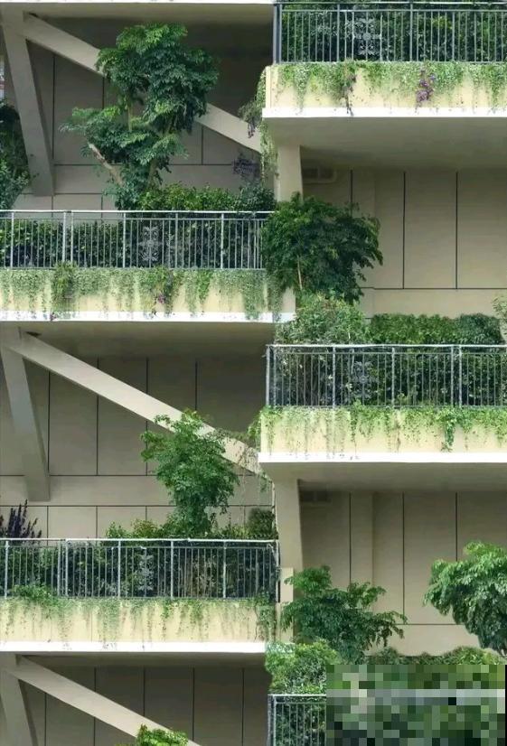 被绿植包围的森林小区,家家阳台满是植物,这样的小区你想住吗? 被绿植包围的森林小区,家家阳台满是植物,这样的小区你想住吗?