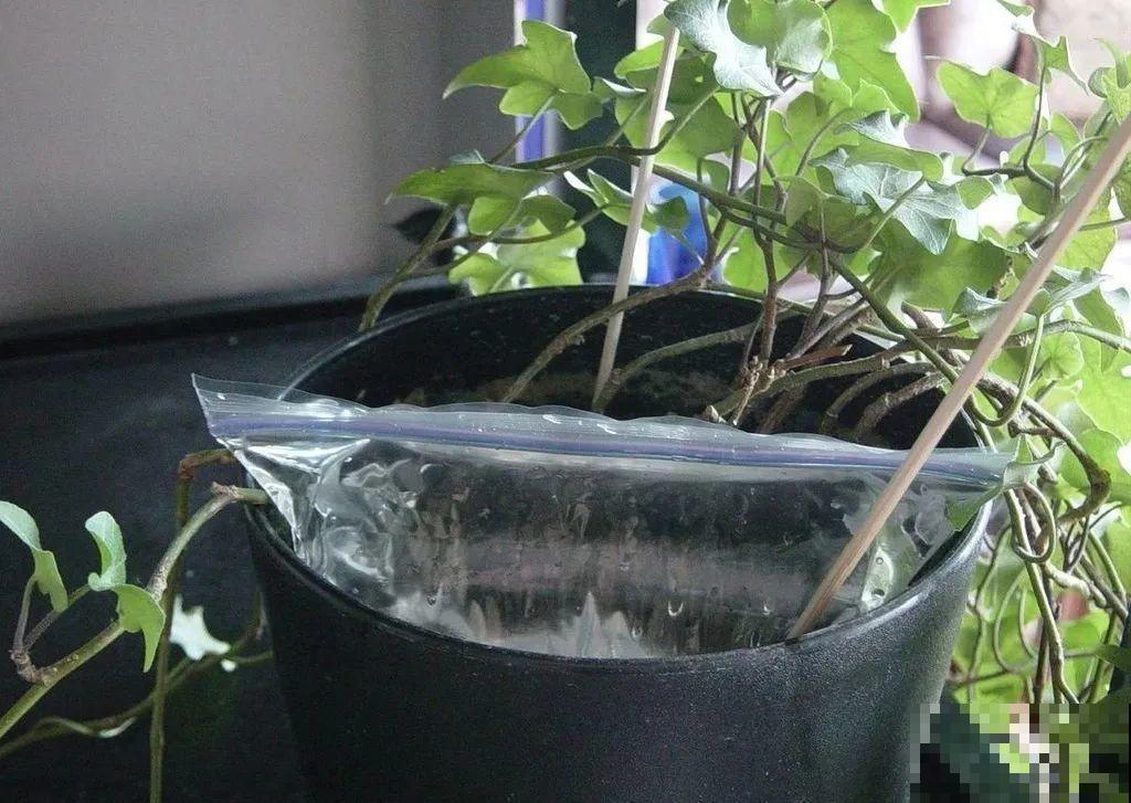 出门前，DIY个浇水神器，花就不会渴死了！