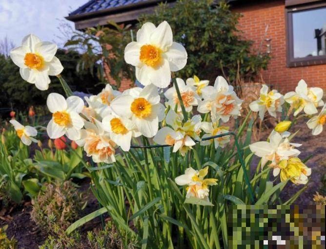 吐槽：那些不喜欢养花的人，总是这么说！