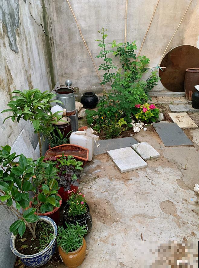 生活在于折腾,养花就是无休止的折腾,并且乐此不疲! 生活在于折腾,养花就是无休止的折腾,并且乐此不疲!