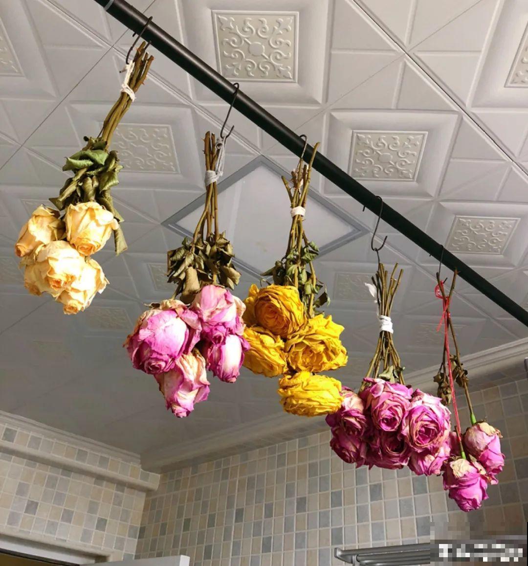把花剪下来，倒挂几天风干，就能变成永生花！