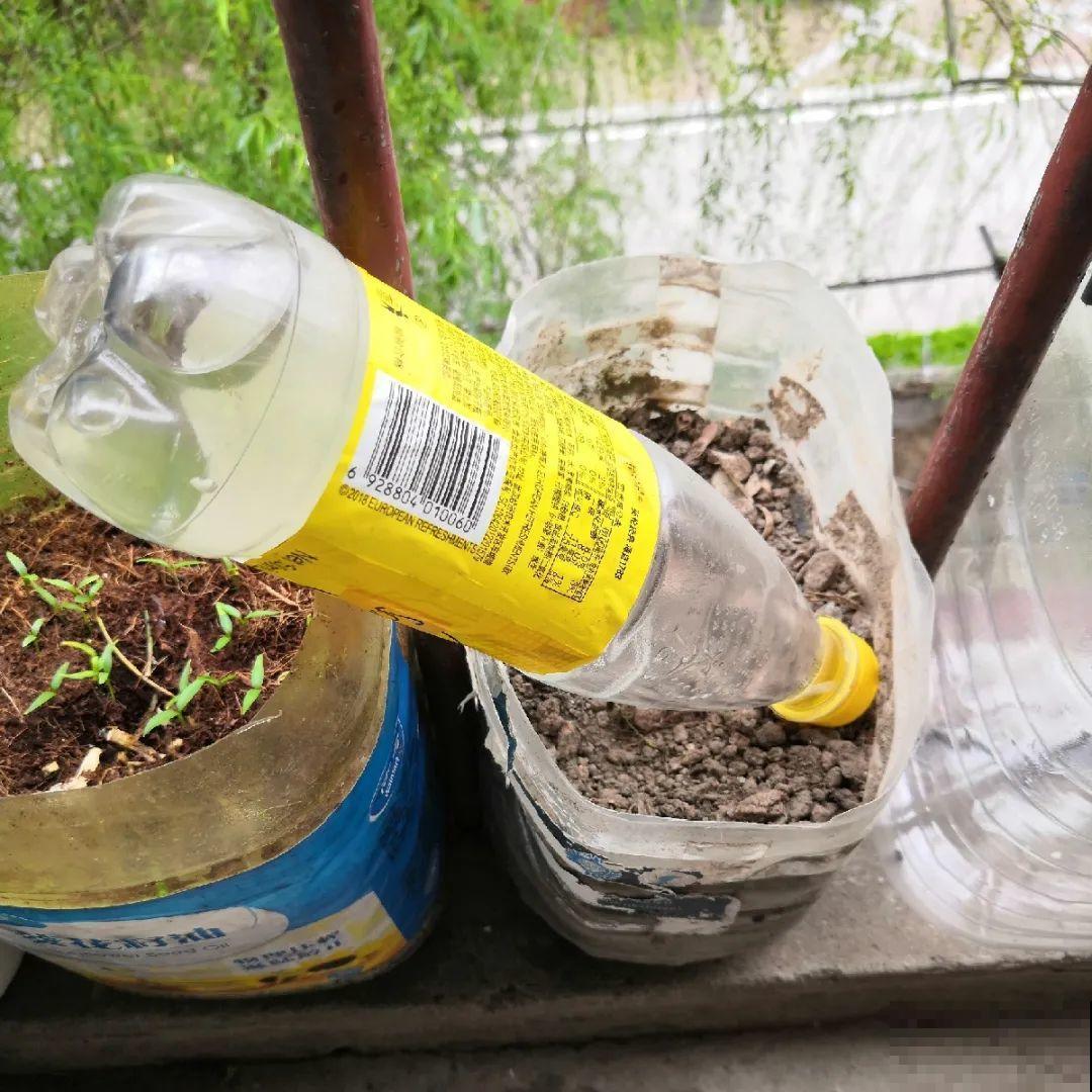 出门前，DIY个浇水神器，花就不会渴死了！