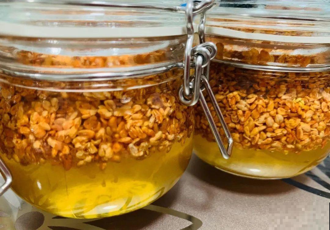 桂花秋天必须养，满树金黄，香飘四溢，不养吃亏了！