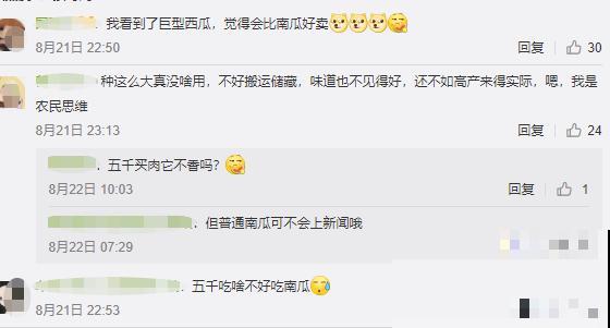 农村大姐，种出1.5米大冬瓜，我看谁还敢说矮！