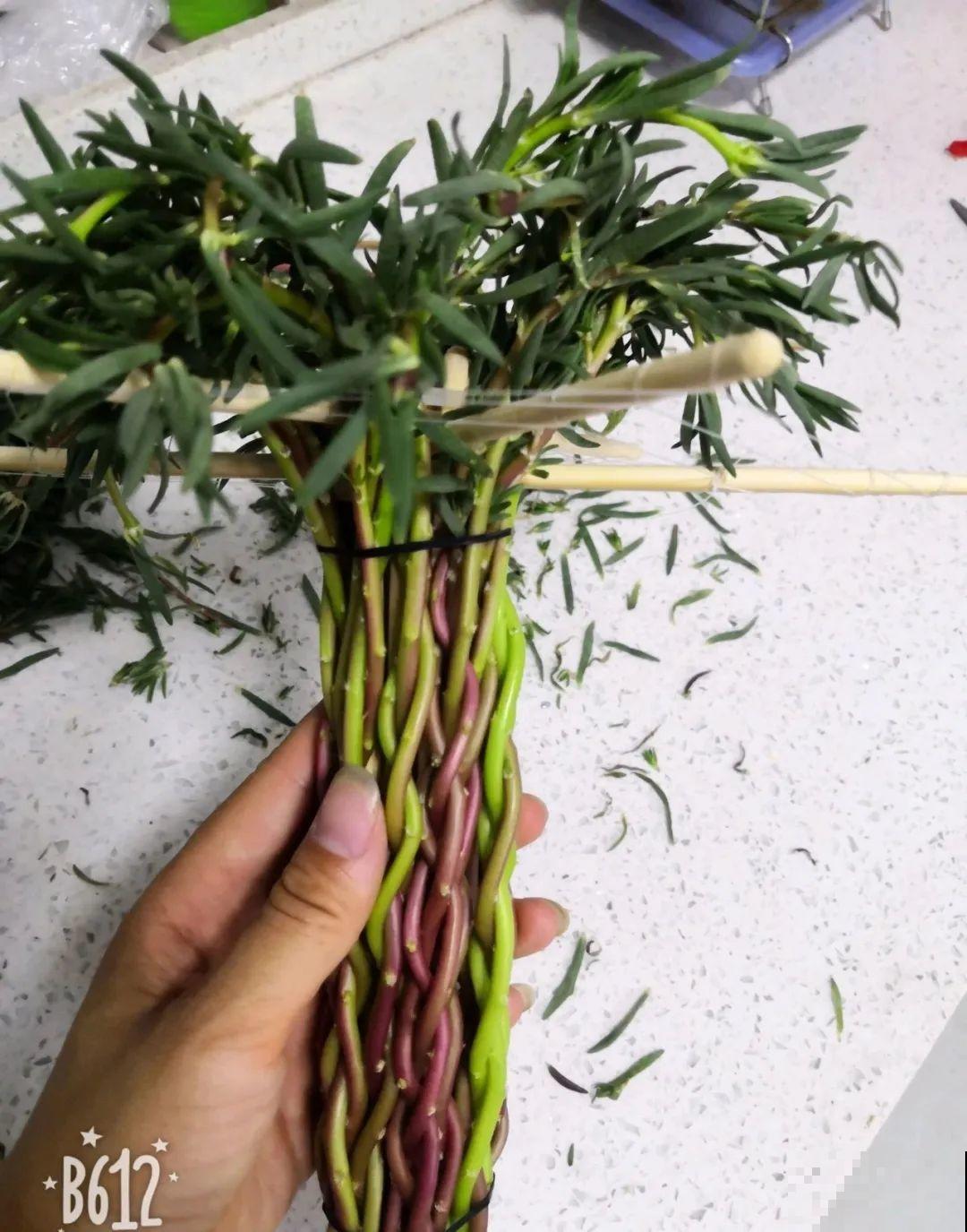 8根筷子绑一起,2个月变老桩,让你爱不释手! 8根筷子绑一起,2个月变老桩,让你爱不释手!