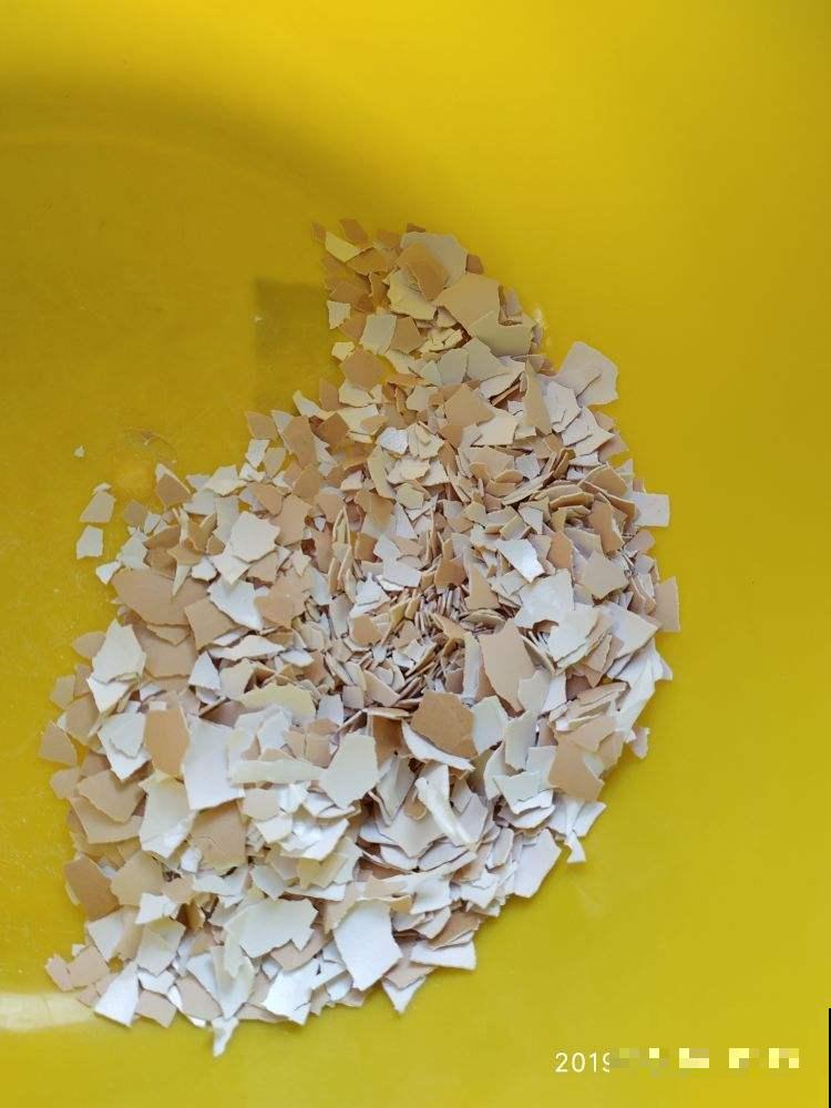 鸡蛋壳直接扣土里，三天长满小黑飞，到底为啥？