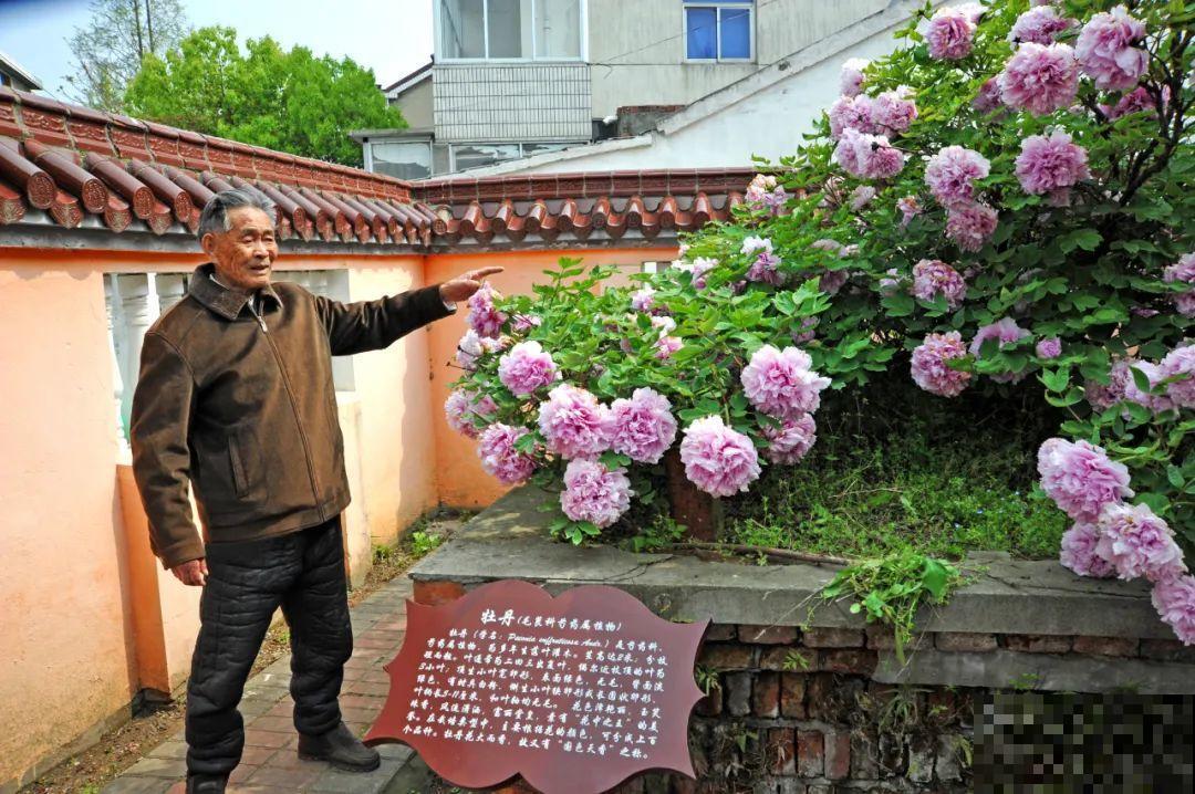 407岁古树，熊孩子玩火烧坏，只剩树皮还能活？