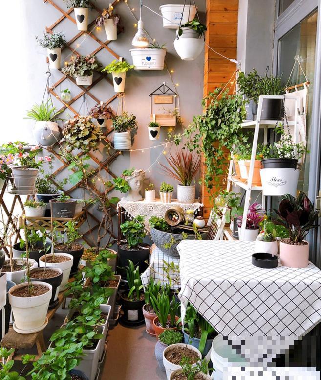 吐槽：那些不喜欢养花的人，总是这么说！