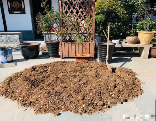 生活在于折腾,养花就是无休止的折腾,并且乐此不疲! 生活在于折腾,养花就是无休止的折腾,并且乐此不疲!