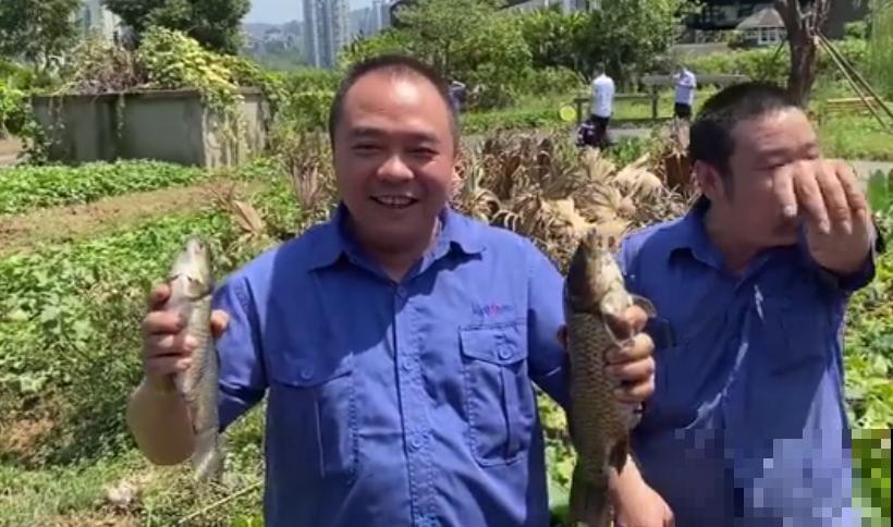 重庆一家企业,楼顶用来种菜养花,佩服! 重庆一家企业,楼顶用来种菜养花,佩服!