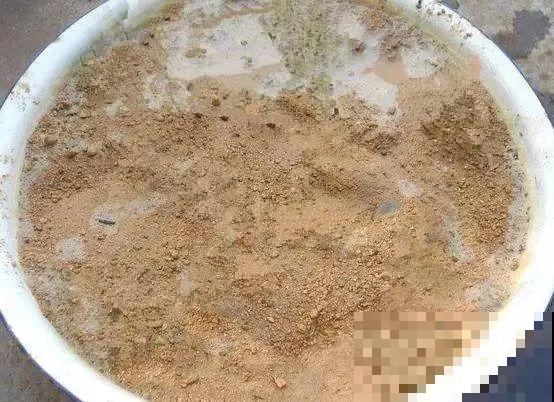 扦插有啥难？1根吸管，插活6盆花，太简单了！