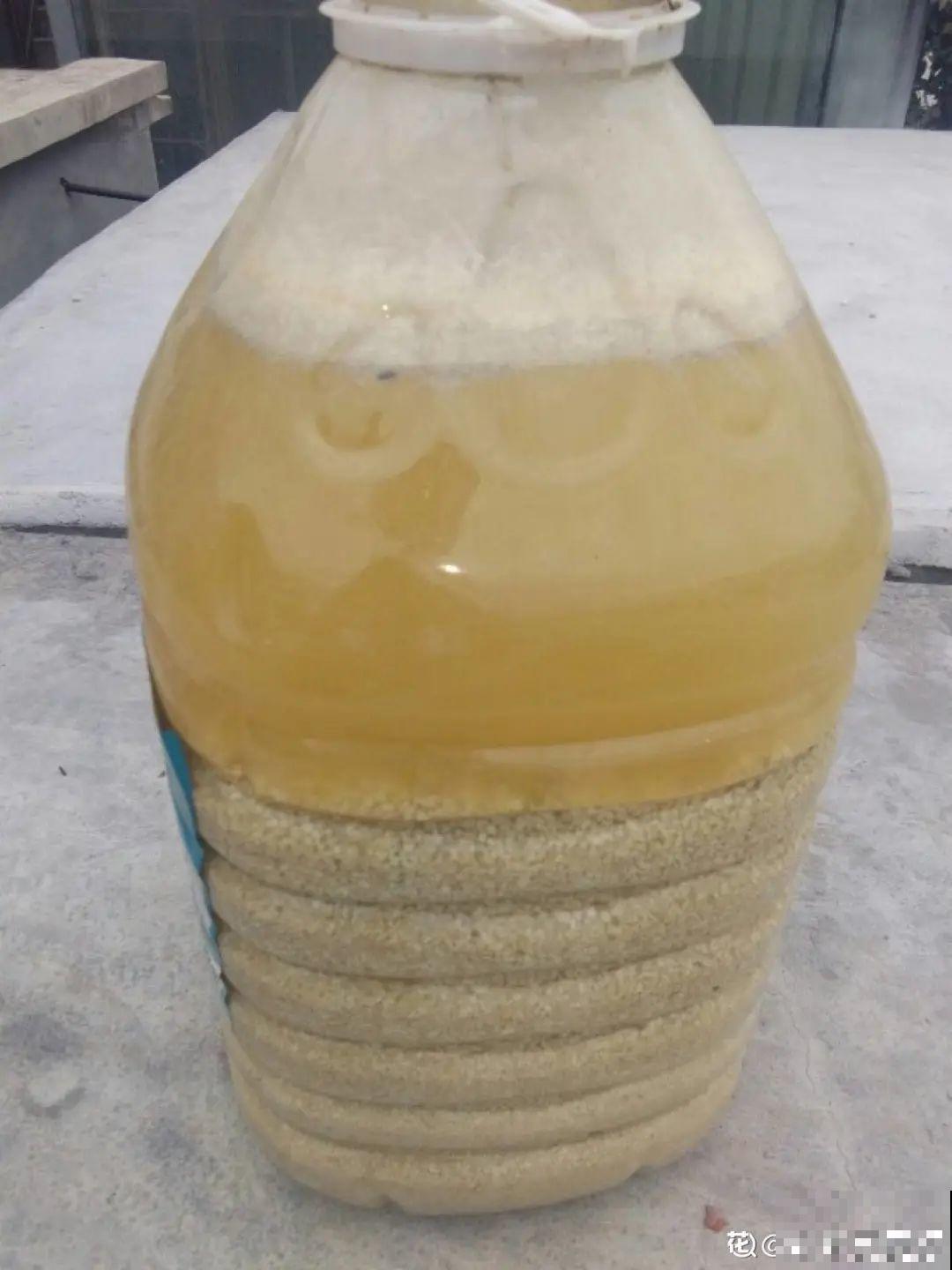 9月施肥季,这花赶紧贴秋膘,才能爆开花! 9月施肥季,这花赶紧贴秋膘,才能爆开花!