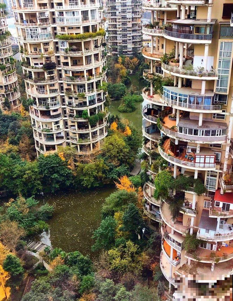 小区楼房被绿植全包围,像个森林一样,你想住进去吗? 小区楼房被绿植全包围,像个森林一样,你想住进去吗?