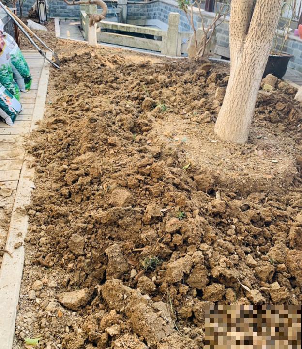 生活在于折腾,养花就是无休止的折腾,并且乐此不疲! 生活在于折腾,养花就是无休止的折腾,并且乐此不疲!