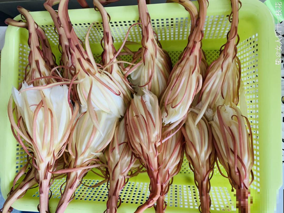 9月生日花，又美又香，寓意极好！