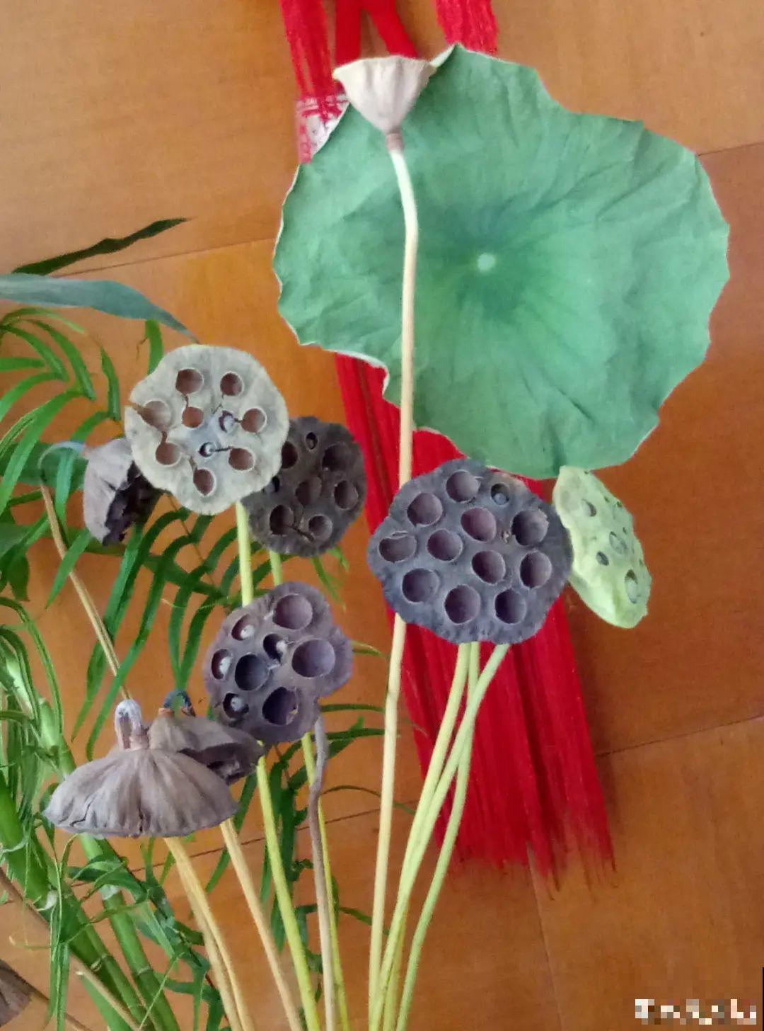 把花剪下来，倒挂几天风干，就能变成永生花！