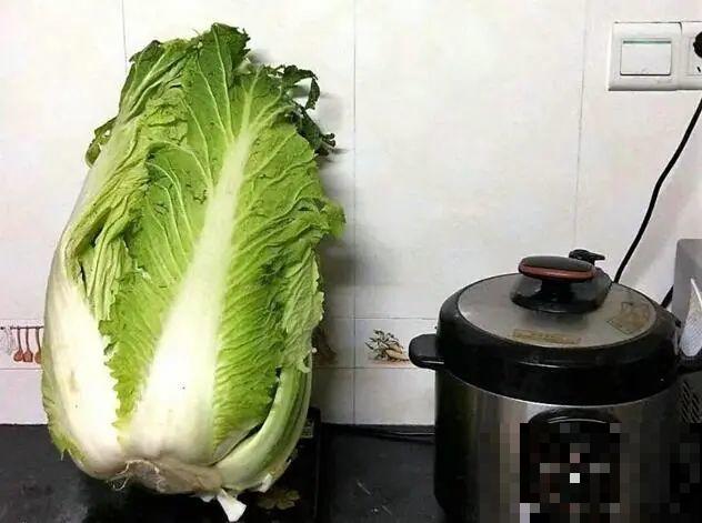 农村大姐，种出1.5米大冬瓜，我看谁还敢说矮！