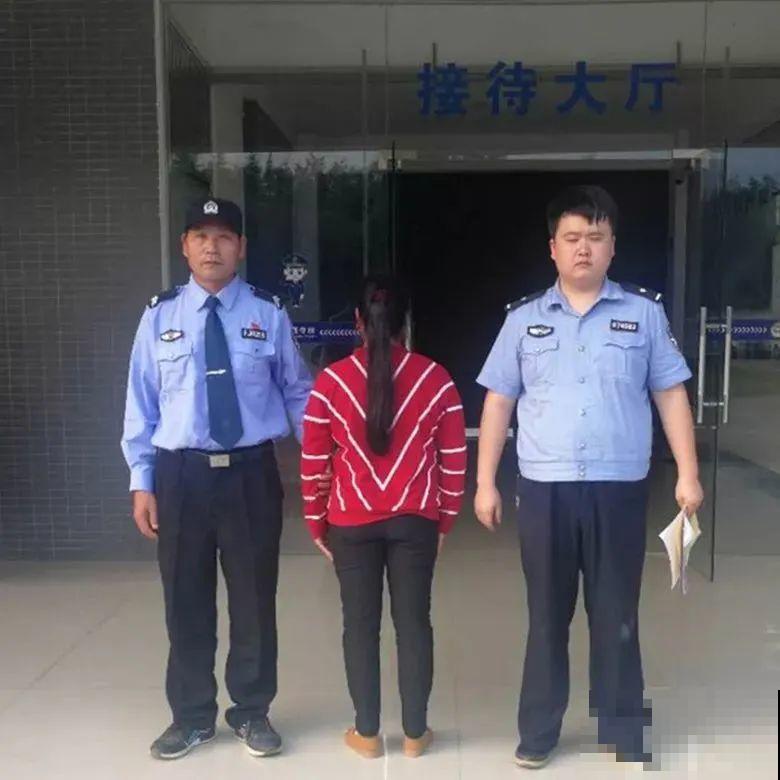 罂粟花不能随便种,私自种植,就得薅光 罂粟花不能随便种,私自种植,就得薅光