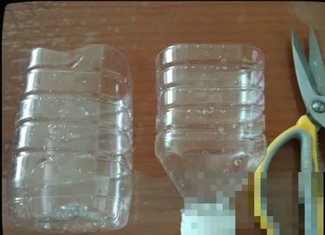 扦插有啥难？1根吸管，插活6盆花，太简单了！