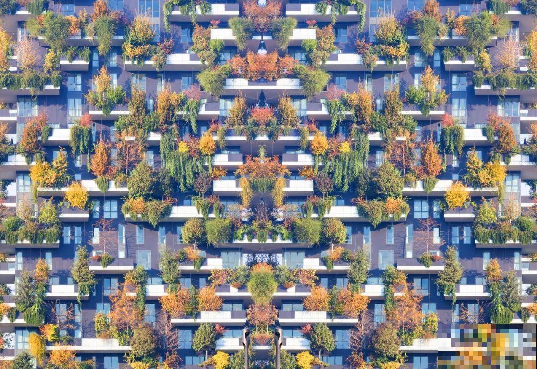 小区楼房被绿植全包围,像个森林一样,你想住进去吗? 小区楼房被绿植全包围,像个森林一样,你想住进去吗?