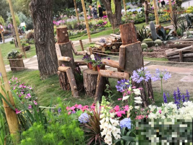 还敢说你的花园有创意?看看这些脑洞设计,一般人做不来! 还敢说你的花园有创意?看看这些脑洞设计,一般人做不来!