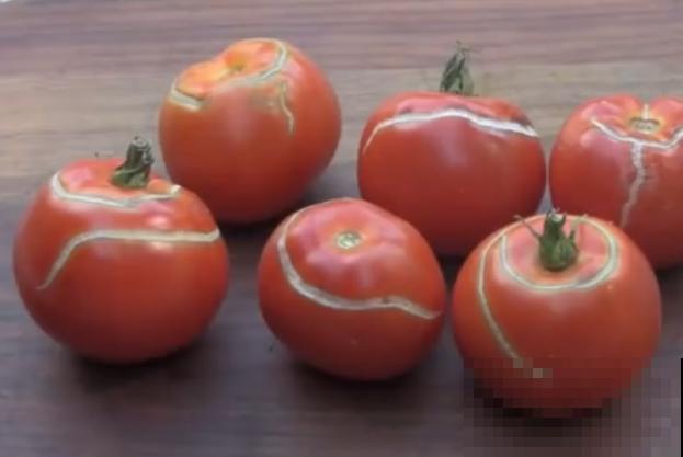 缺肥的7大表现，看清楚，再对症施肥！