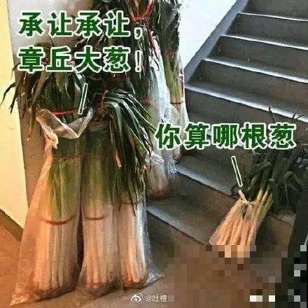 农村大姐，种出1.5米大冬瓜，我看谁还敢说矮！