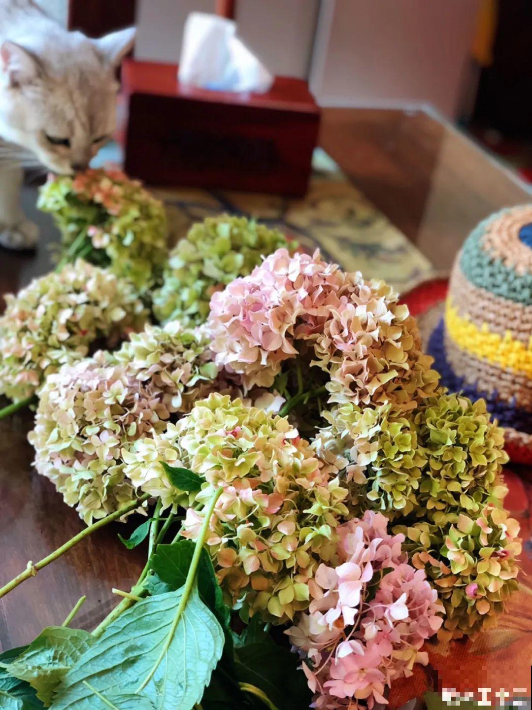 把花剪下来，倒挂几天风干，就能变成永生花！