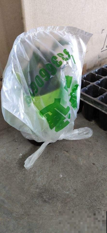 塑料瓶塑料袋都存好,都是养花好东西,花用了呼呼长 塑料瓶塑料袋都存好,都是养花好东西,花用了呼呼长